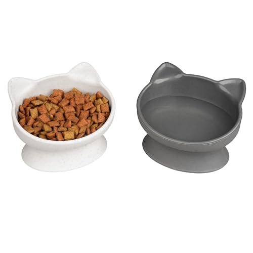 What are the Best Bowls for Cats: Top Whisker-Friendly Elevated Picks