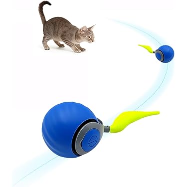 What are the Best Cat Ball Toys