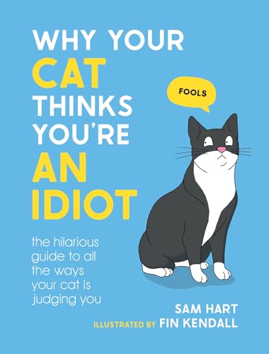 What are the Best Cats Gifts and Accessories for Every Cat Lover