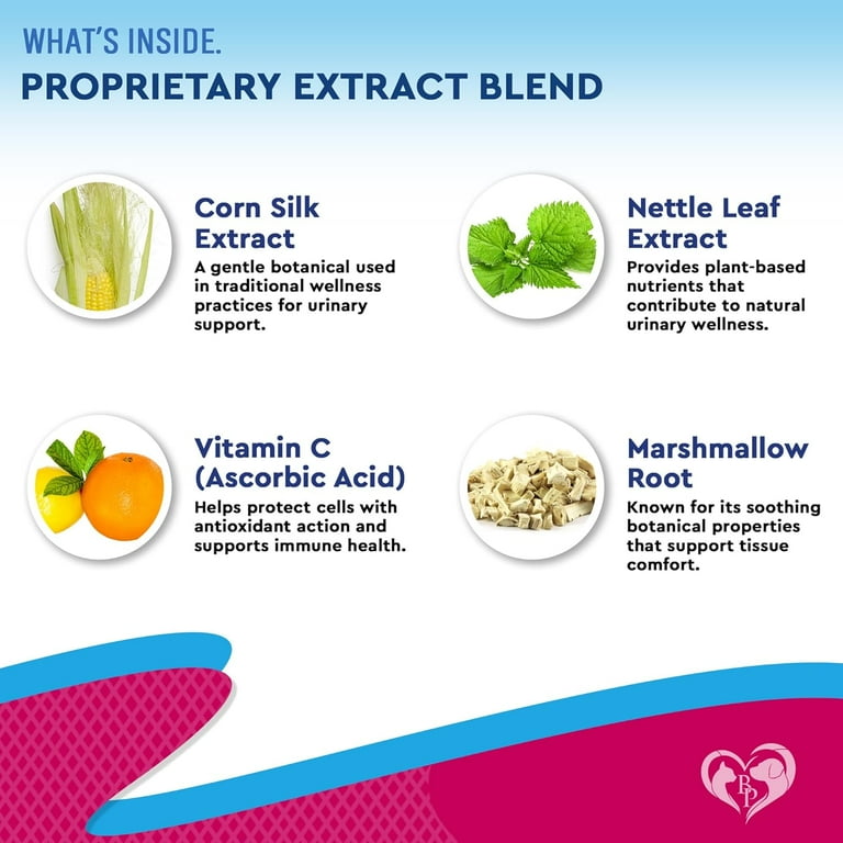 What are the Health Benefits of Cat& 39