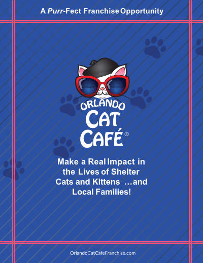 What are the Health Codes for Cat Cafes