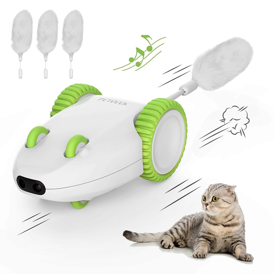 What Batteries Go in the Cat'S Toy Mouse