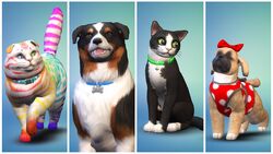 What Breeds are in Sims 4 Cats And Dogs: Ultimate Guide Revealed
