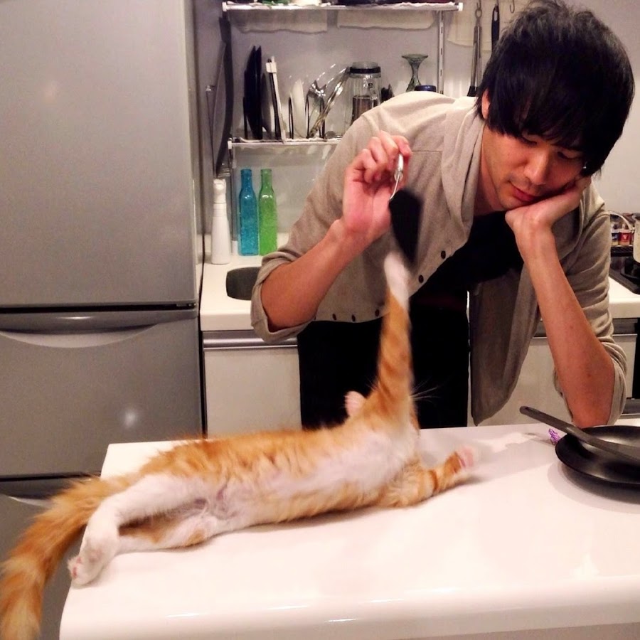 What Breeds are Jun And Rachel’S Cats: Discover Their Unique Traits