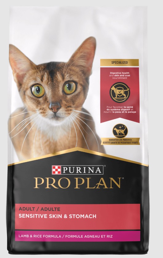 What Can I Give to My Cat for Digestive Health: Top Safe Remedies