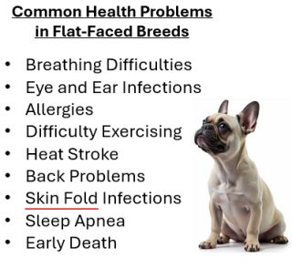 What Cat And Dog Breeds Have Unhealthy Traits: Shocking Truths Revealed