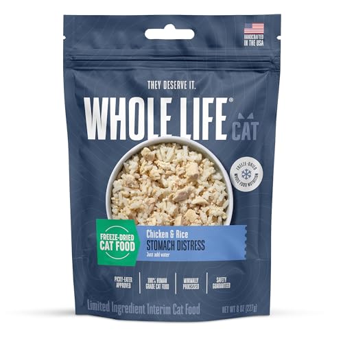 What Cat Food is Best for Cats That Throw Up: Top Digestive Support Picks