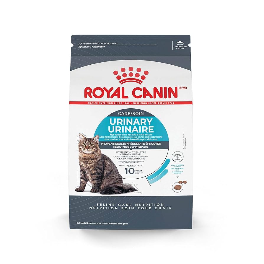 What Cat Food is Best for Urinary Health