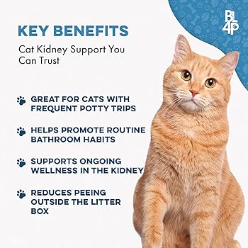 What Do Cats Get Kidney Disease Natural Health