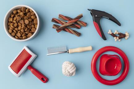 What Do I Need to Groom My Cat