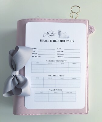 What Does a Health Certificate for a Cat Look Like: Essential Guide