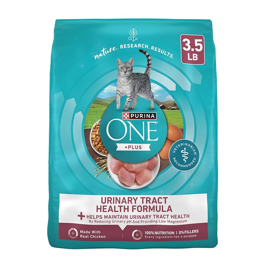 What Food is Good for Cat With Urinary Health: Top Nutritious Picks