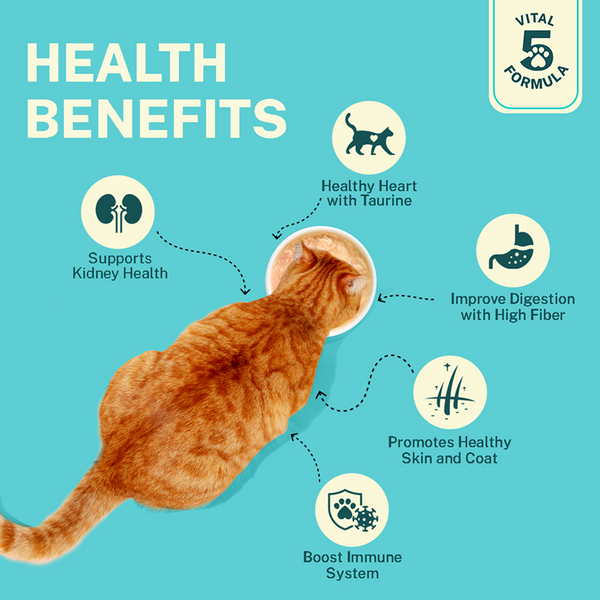 What Health Benefits Do Cats Have