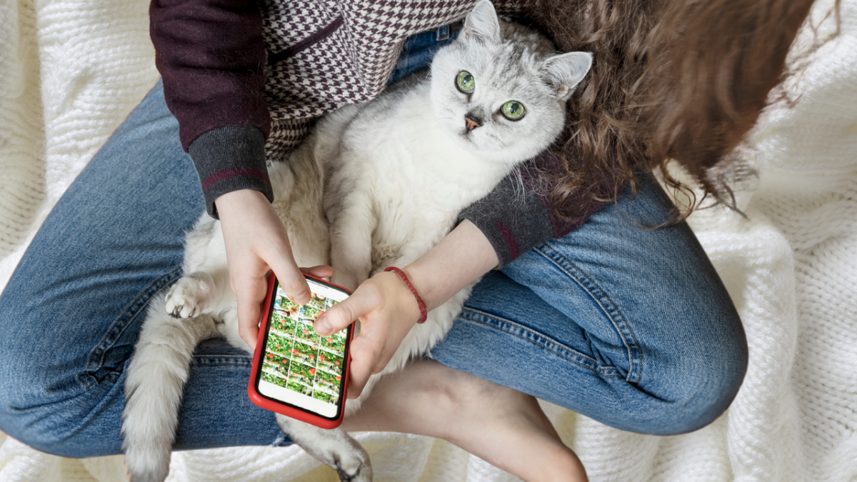 What Health Issue Could Make My Cat Clingy: Hidden Causes Revealed