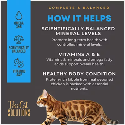 What Ingredient in Cat Food is Essential for Their Health