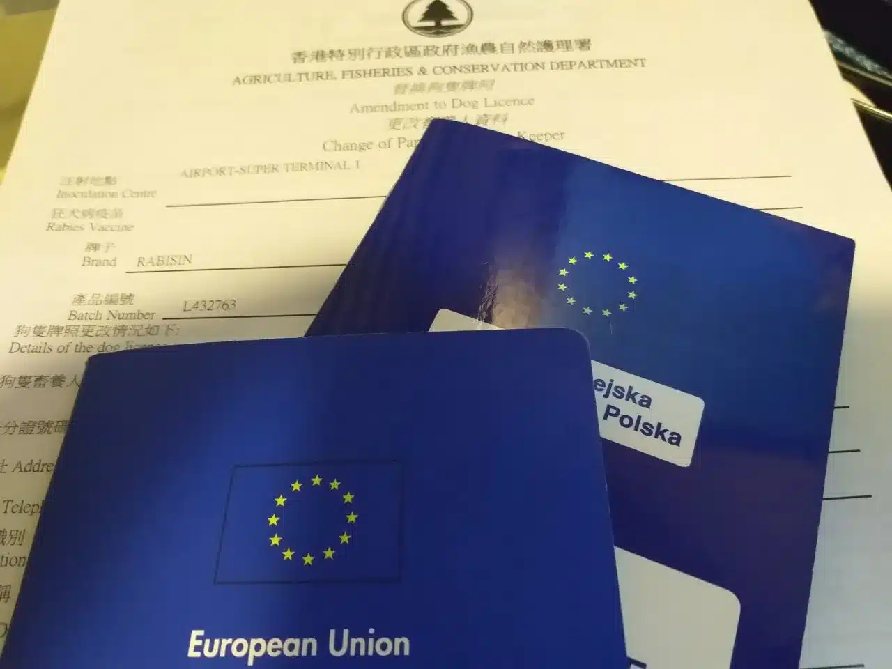 What is a Health Certificate for a Cat