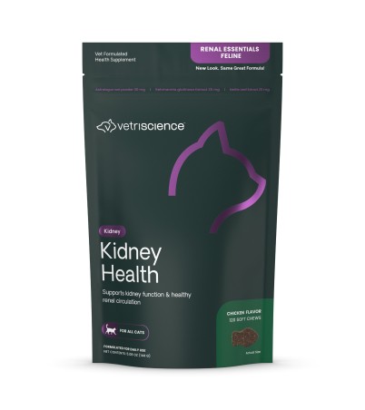 What is Good for Cats Kidney Health