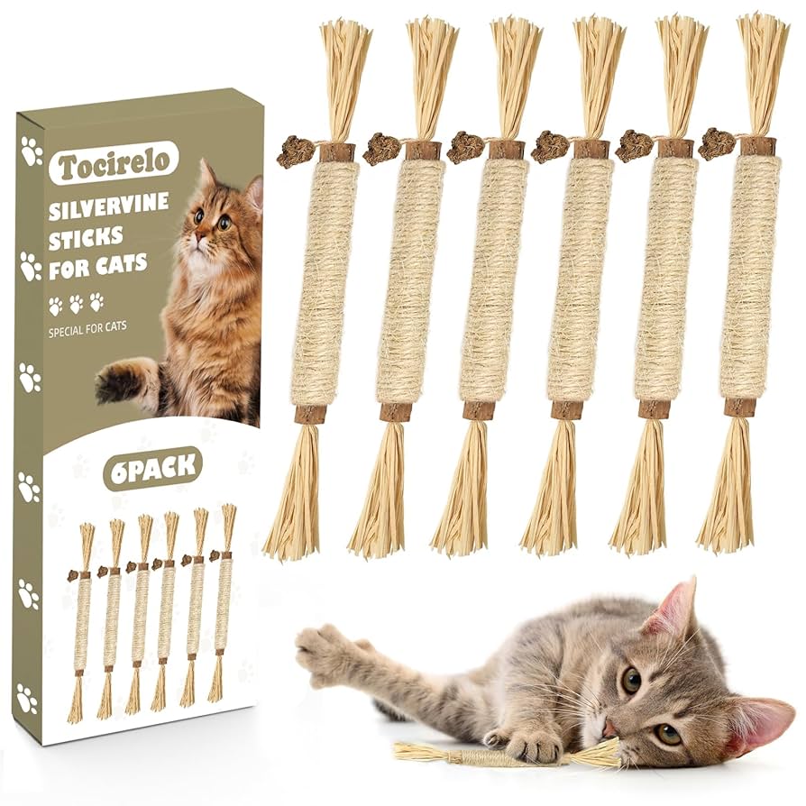 What is Silvervine Cat Toy: Ultimate Guide to Feline Fun