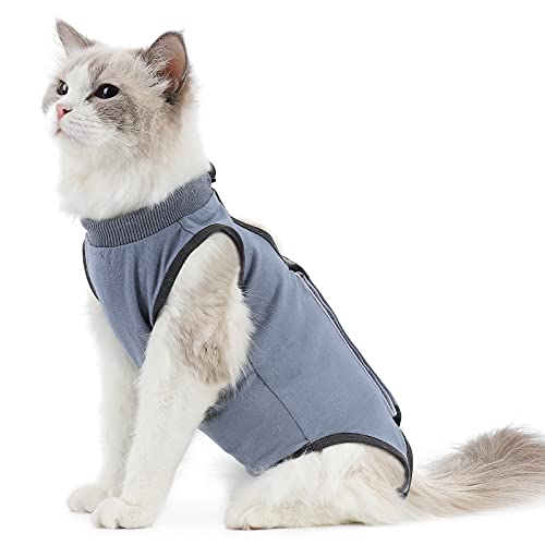 What is the Best Age to Neuter a Cat