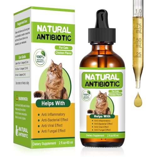 What is the Best Cat Allergy Medicine for Itching and Sneezing Relief
