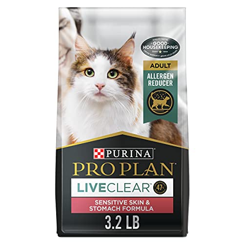 What is the Best Cat Food for Skin Allergies