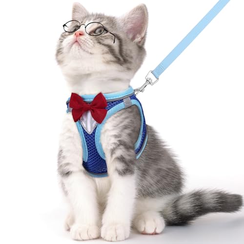 What is the Best Cat Harness And Leash for Safe Outdoor Adventures?