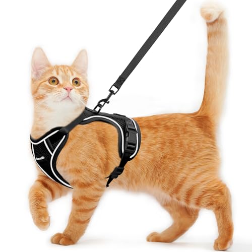 What is the Best Cat Harness for Comfortable and Escape-Proof Walks?