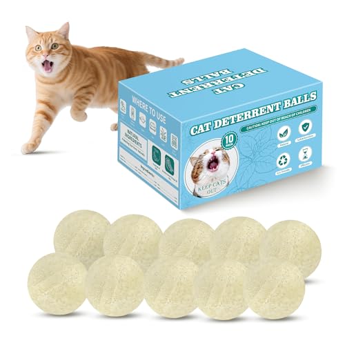 What is the Best Cat Repellent to Protect Your Home and Garden?
