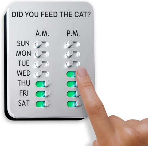 What is the Best Feeding Schedule for Cats