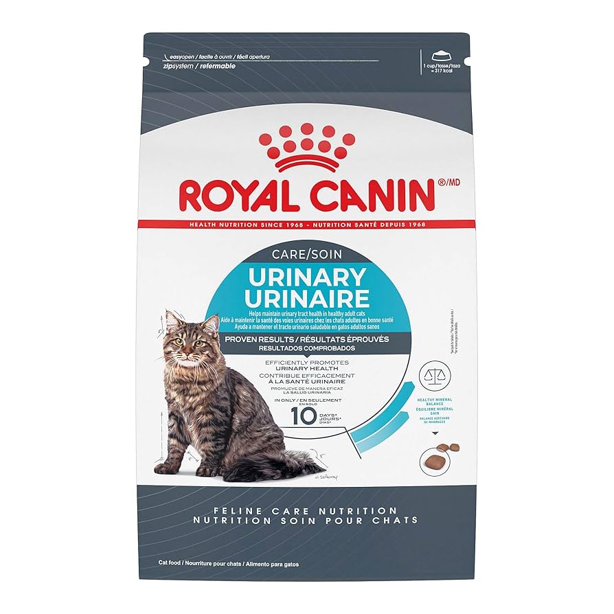 What Kind of Food is Good for Urinary Cat Health: Top Choices