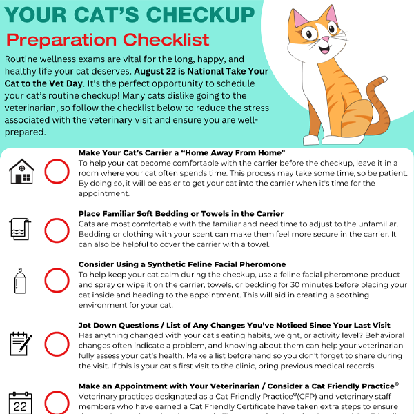 What Preventative Health Do Cats Need
