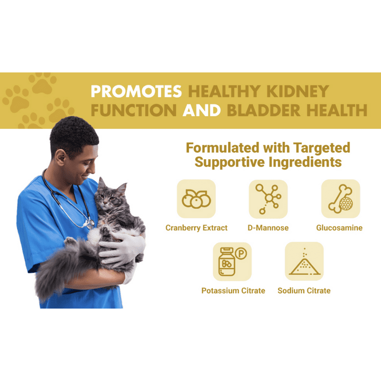 What Promotes Urinary Tract Health in Cats: Essential Tips Revealed