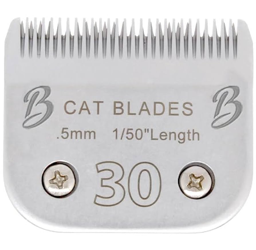 What Size Cat Blades for Grooming Cats: Ultimate Guide & Tips
