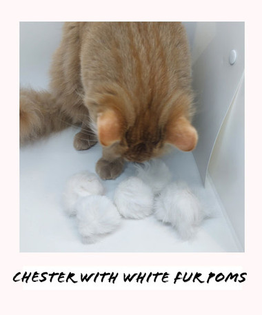 What Size Pom Poms for Cat Toy