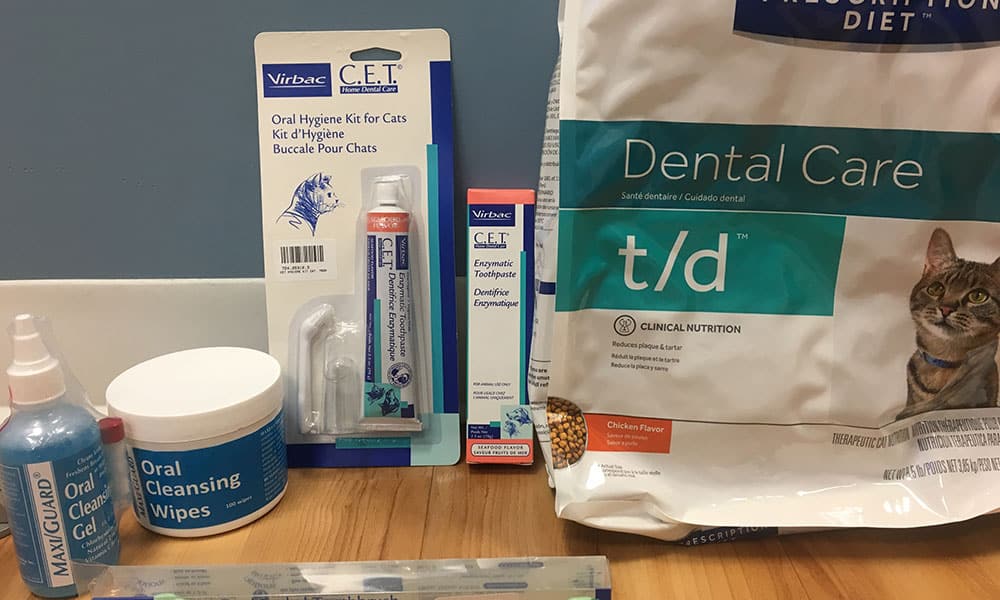 What to Get for Cats Dental Health