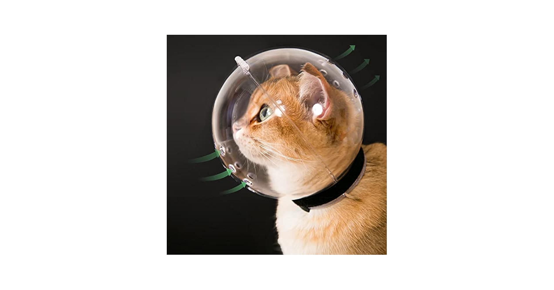 What to Give an Aggresseive Cat for Grooming