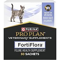 What to Give Your Cat for Gastreal Instesinal Health