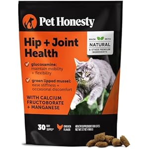 What to Give Your Cat for Joint Health