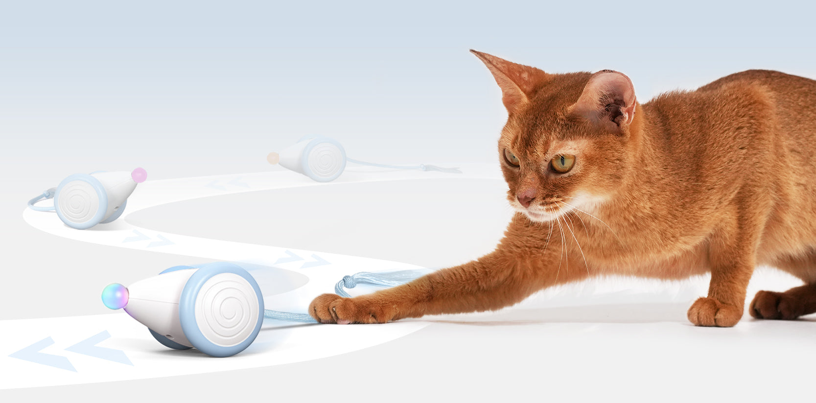 What Toy Can Mimic Prey Cat