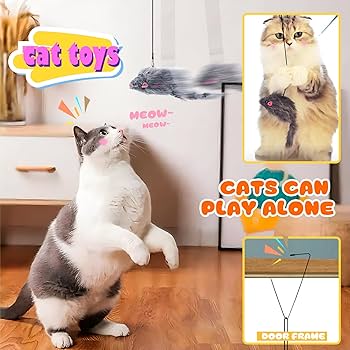 What Toys Can Cats Play With