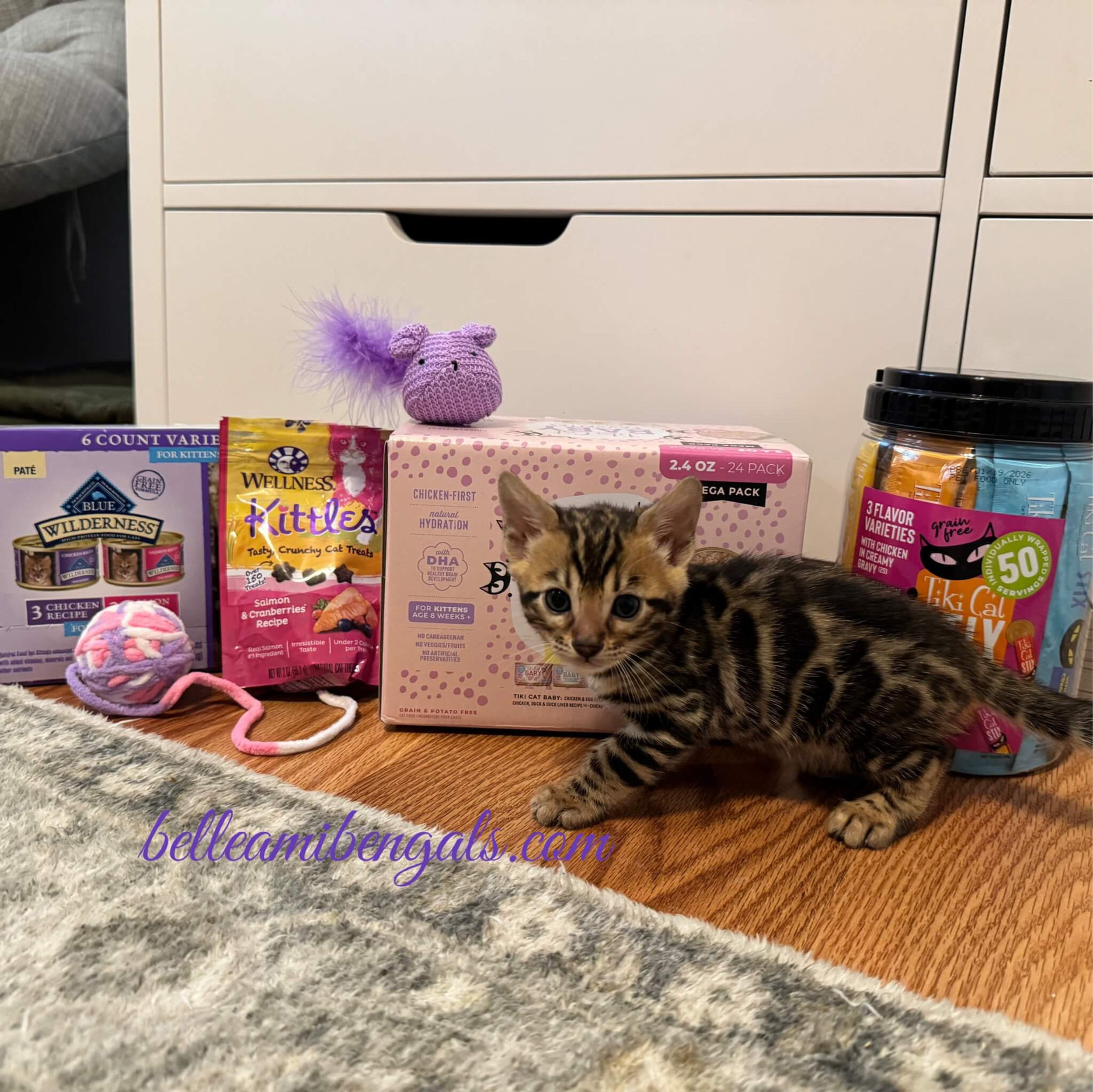 What Toys Do Bengal Cats Like