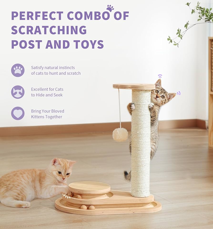 What Toys to Put on Your Cat Tree: Ultimate Playtime Essentials