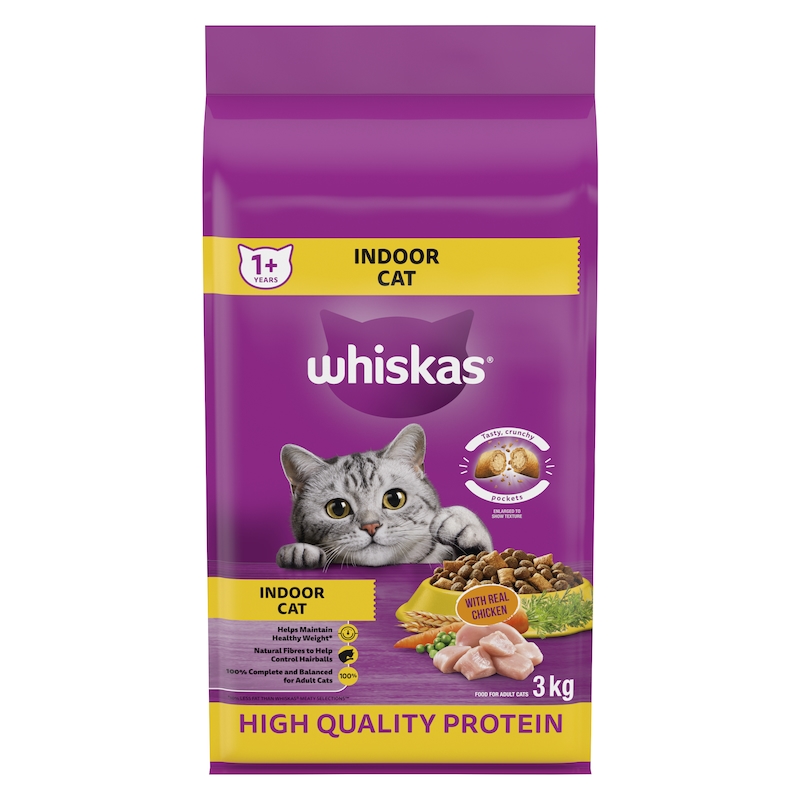 What Type of Food for Adult Cats: Ultimate Guide to Healthy Choices