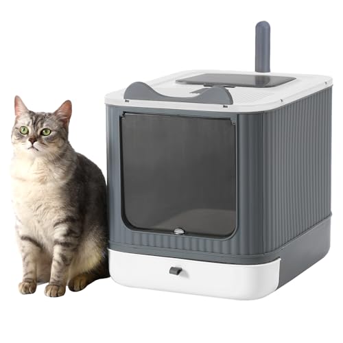 What Type of Litter Box is Best for Cats: Top Picks Reviewed