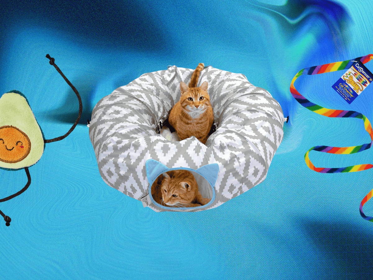 What Types of Cat Toys are Popular for Cats: Top Picks Revealed
