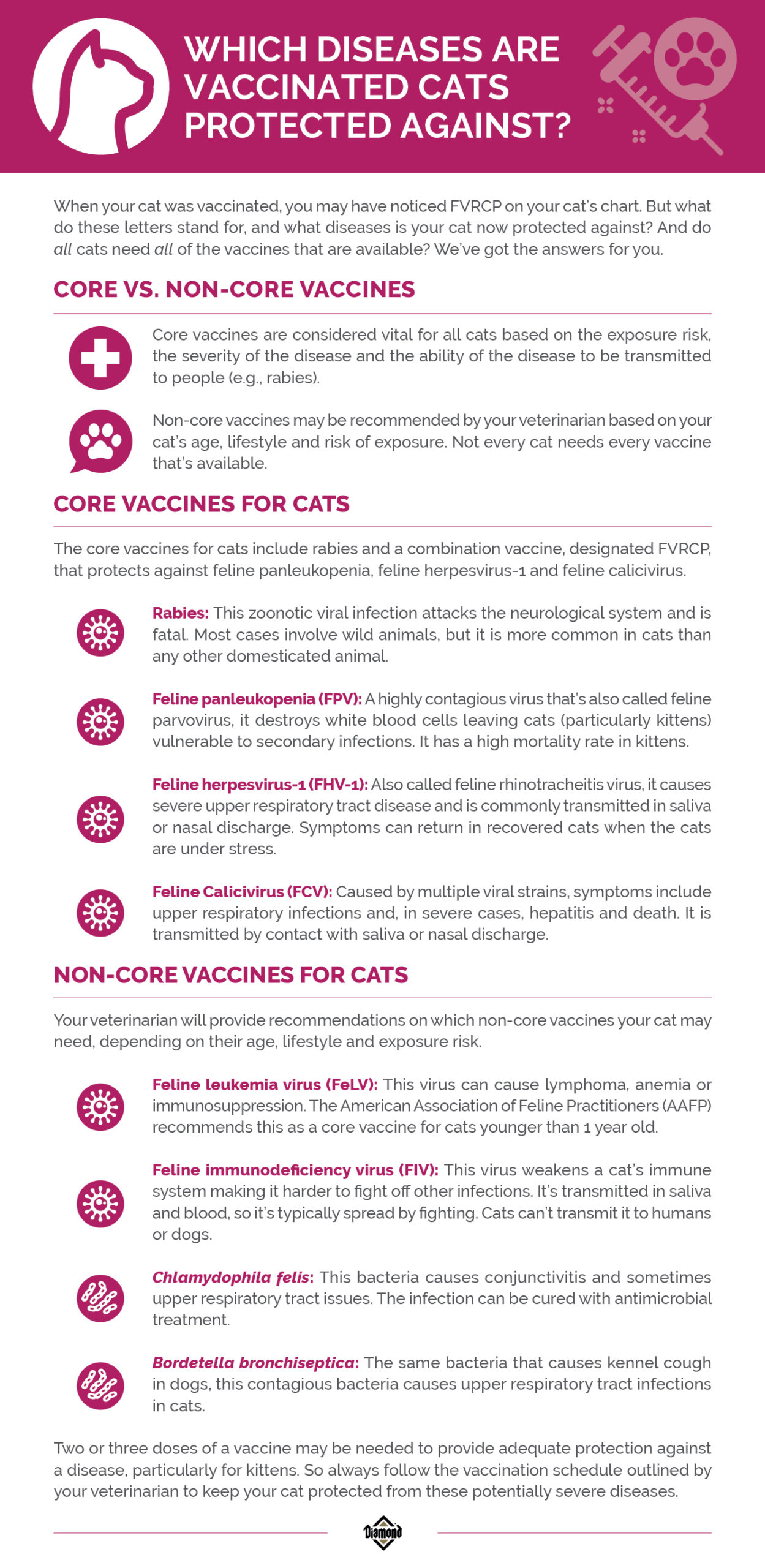 What Vaccines Do Cats Need to Be Groomed: Essential Health Guide
