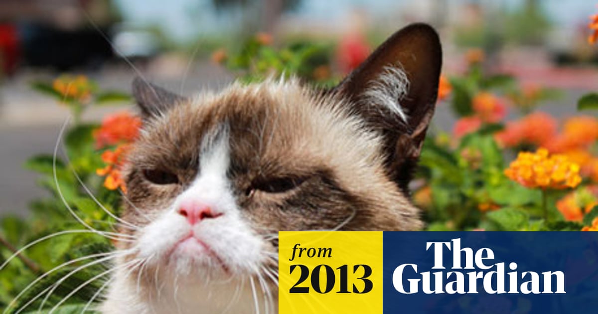 What was Grumpy Cats Health Like