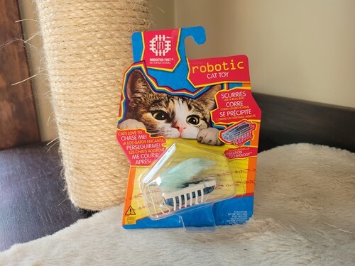 What'S a Cat Favourite Toy