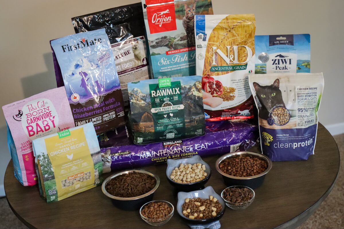 What’S the Best Cheap Adult Cat Food: Top Affordable Picks Reviewed