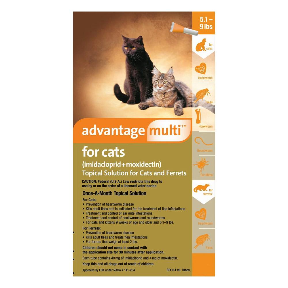 When Can Cat Groom After Advantge Muli: Essential Timing Tips
